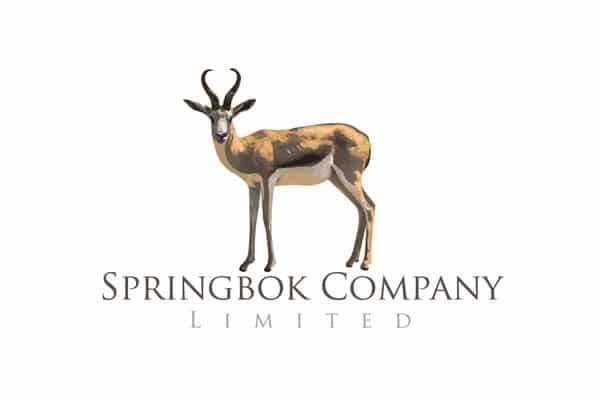 Springbok Company logo