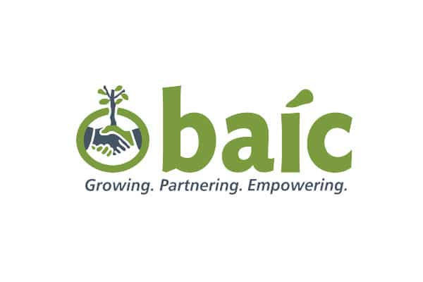 Baic Logo